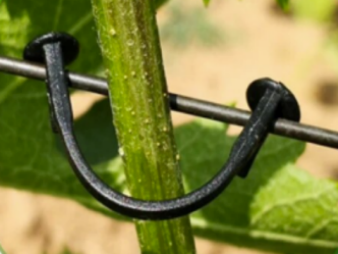 Nylon fixing tie for vines